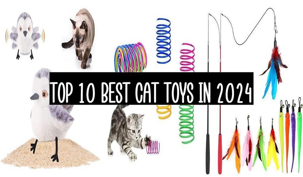 Top 10 Best Cat Toys In 2025