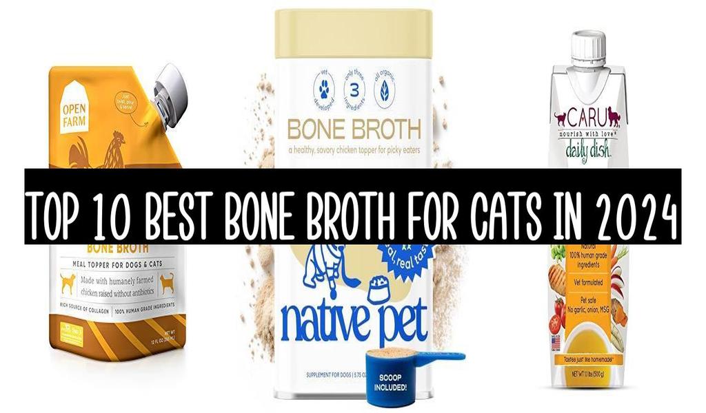 Top 10 Best Bone Broth For Cats In 2025