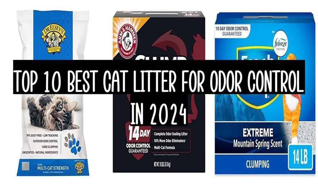 Top 10 Best Cat Litter For Odor Control In 2025